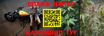 МДПВ Жуковский