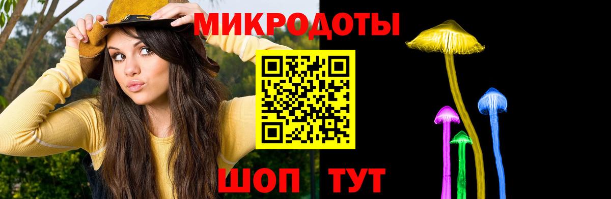 Псилоцибиновые грибы Psilocybe Иваново